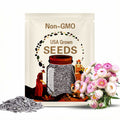 Silvery Rose Strawflower Seed  U S A SELLER