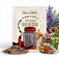 200 Rare Mixed Succulent Seeds: Easy Grow, Colorful Varieties