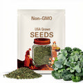 Kale Seeds, Spring or Summer Smooth Leaf, NON-GMO, Heirloom, 250 Seeds Kale