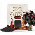 100 Black Red Caladium Flower Seeds | Exotic Foliage Plant | Tropical Garden | NON-GMO Heirloom