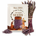 Purple Passion Asparagus Seeds, 15+ Seeds, Organically Grown, Pesticide Free, Garden Seeds, Non GMO, Heirloom Seeds, USA Grown