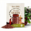 Ruby Queen Beet Seeds - Heirloom Seeds, Microgreens, AAS Winner, Easy to Grow, Earthy Sweet Flavor, Beta Vulgaris, Open Pollinated, Non-GMO