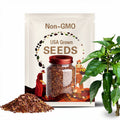 Ancho Poblano Pepper Seeds