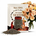 Aster Seeds King Size Apricot China Aster Seed