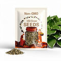 200+ Hosta Seeds | Perennial Shade Plants | Outdoor Garden Beauties